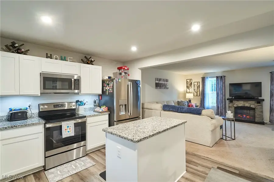 795 Pine Spring Drive, Painesville, OH 44077 - Image #2