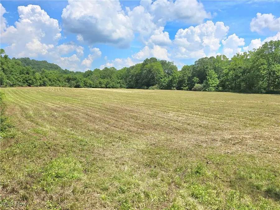 7.38 acres Rosseau Co. Rd. 13 Road, Stockport, OH 43787 - Image #2