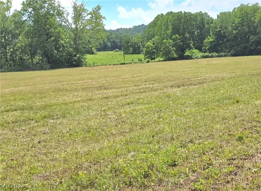 7.38 acres Rosseau Co. Rd. 13 Road, Stockport, OH 43787 - Image #3