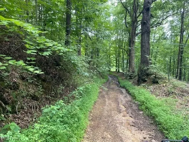 Boggs Fork Road, Spencer, WV 25276 - Image #2