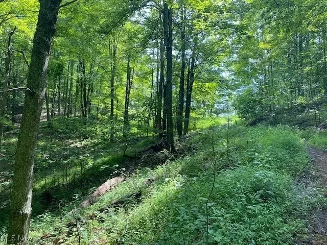 Boggs Fork Road, Spencer, WV 25276 - Image #3