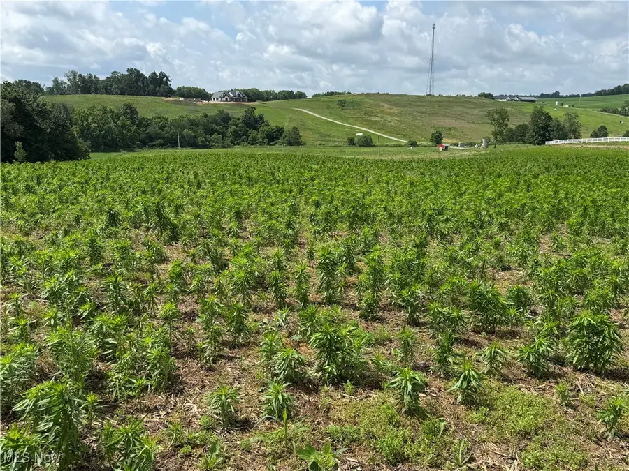 Dunker Road, Baltic, OH 43804 - Image #3