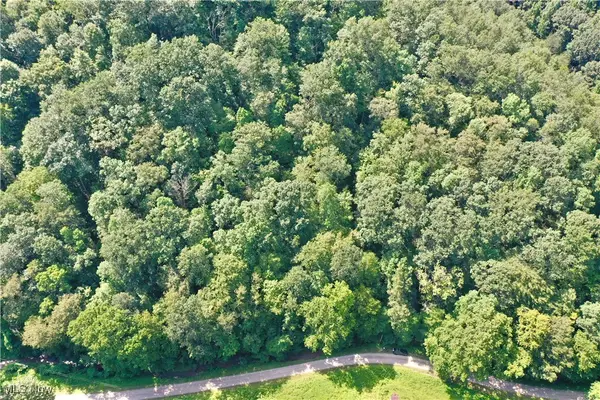 0002 Big Root Road, Big Bend, WV 26136