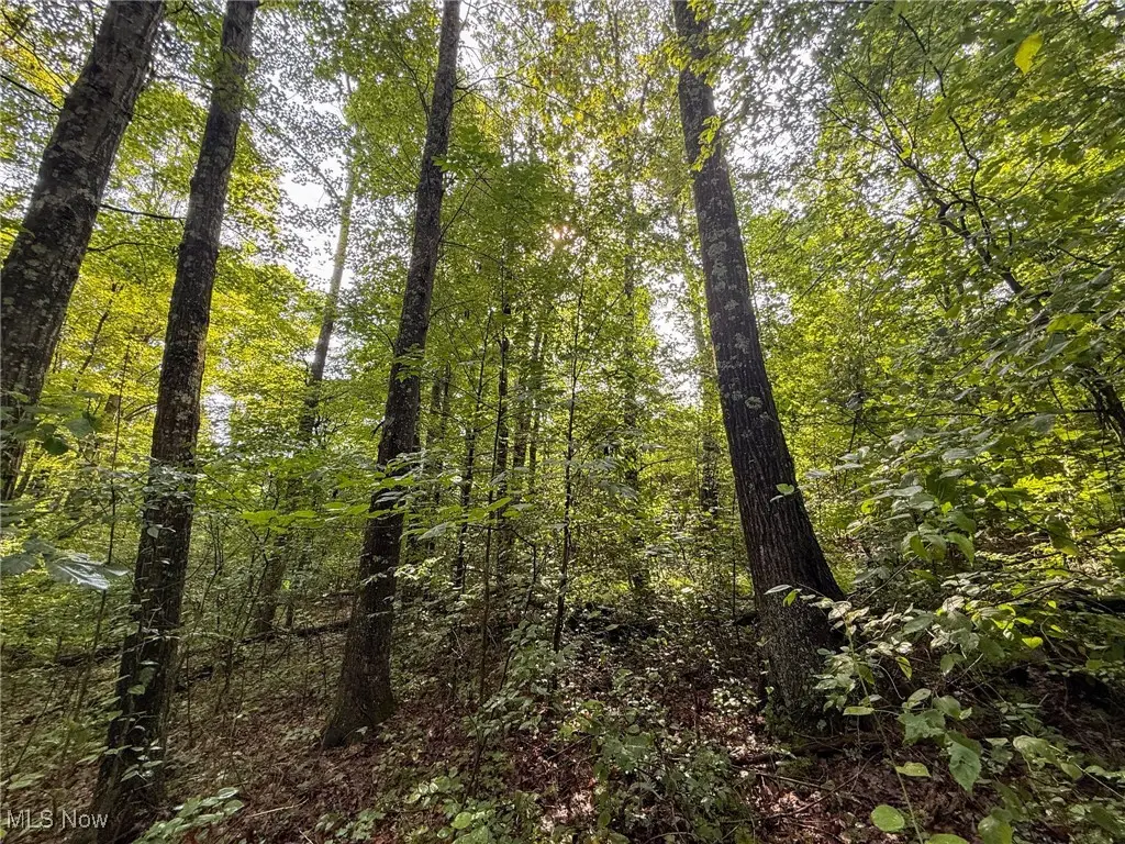 Twp Rd 273, Shawnee, OH 43782 - Image #1