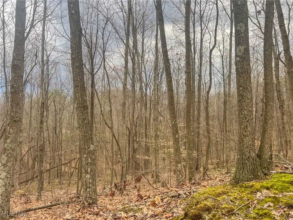 Ponetown Rd, Ray, OH 45672 - Image #1