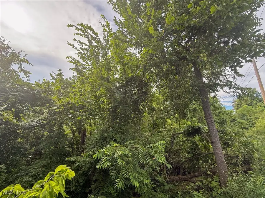 Sand Hill Rd, Bellaire, OH 43906 - Image #2