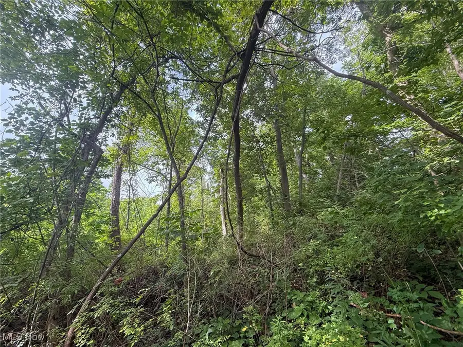 Sand Hill Rd, Bellaire, OH 43906 - Image #3