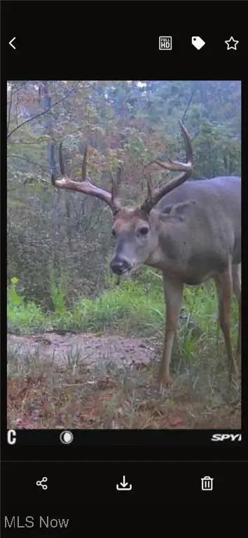 Us-22, Roseville, OH 43777 - Image #3