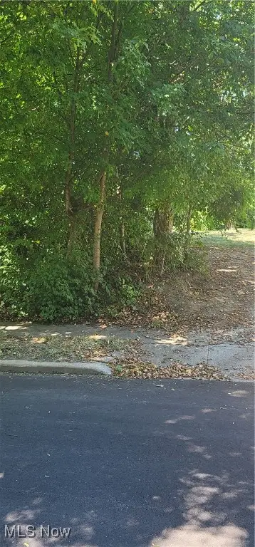 Kline Avenue, Akron, OH 44305 - Image #1