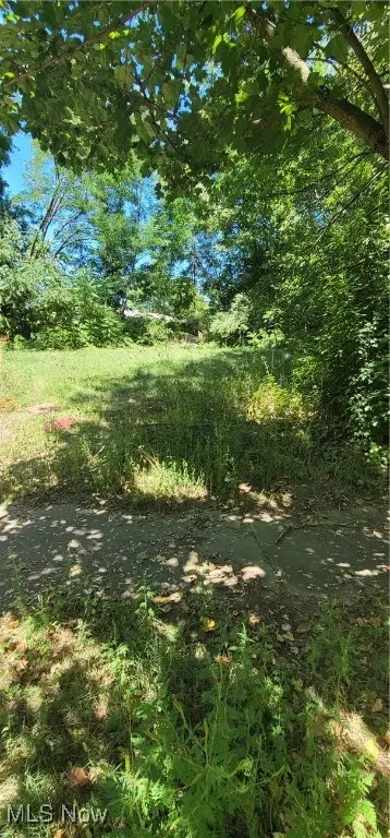 Kline Avenue, Akron, OH 44305