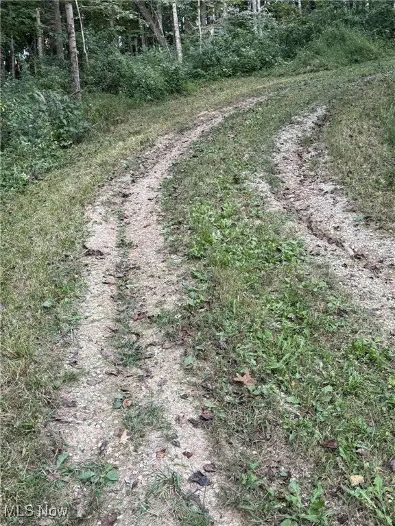 5855 Olney Run Road, McConnelsville, OH 43756 - Image #2