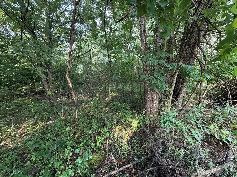 15 Cayuse Trail, Malvern, OH 44644 - Image #3