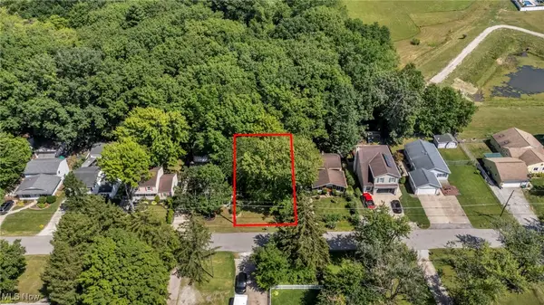 V/L Aldridge Drive, Columbia Station, OH 44028