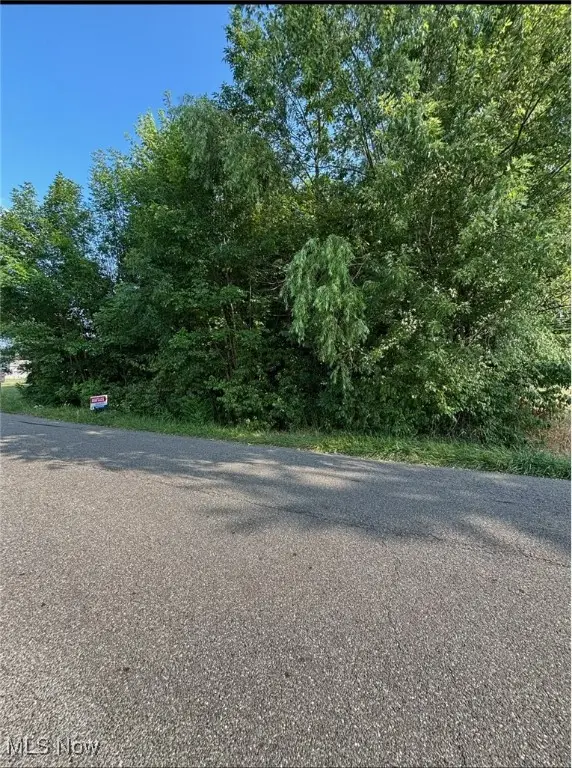 0 Moyer Avenue, Youngstown, OH 44512 - Image #2