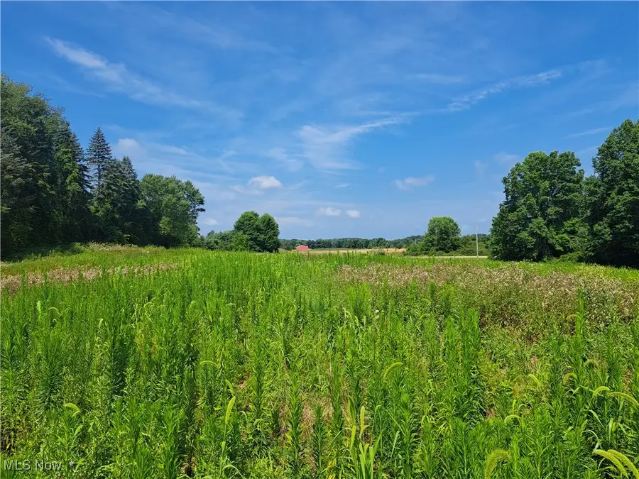 8156 Lake O'springs Nw Avenue, Canton, OH 44720 - Image #3