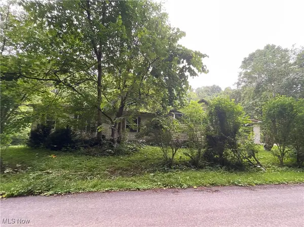 56000 Crabapple Road, Alledonia, OH 43902