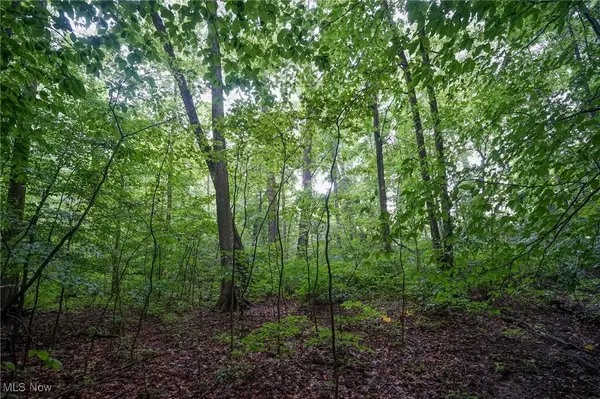 Duncanson Rd, Hillsboro, OH 45172