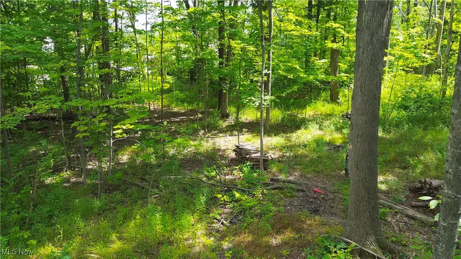 1151 Laurel Drive, West Salem, OH 44287 - Image #2