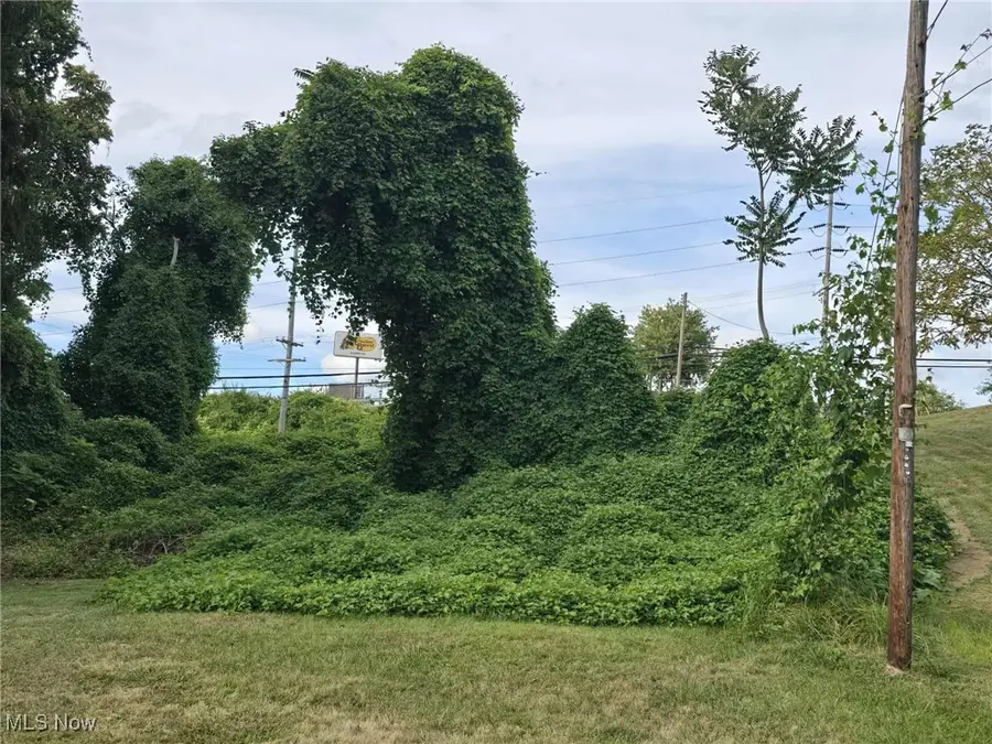 931 Orchard Street, Zanesville, OH 43701 - Image #2