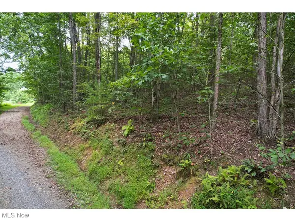 Fansler Sw Lane, Newcomerstown, OH 43832