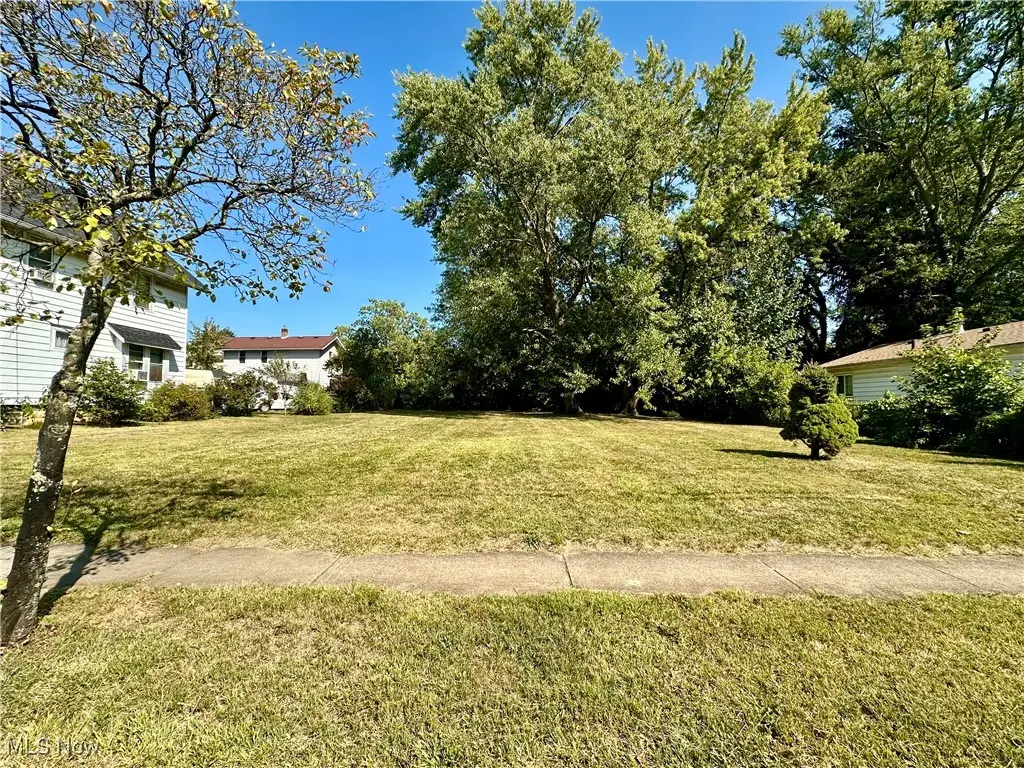 1191 Big Falls Avenue, Akron, OH 44310 - Image #1