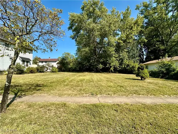 1191 Big Falls Avenue, Akron, OH 44310