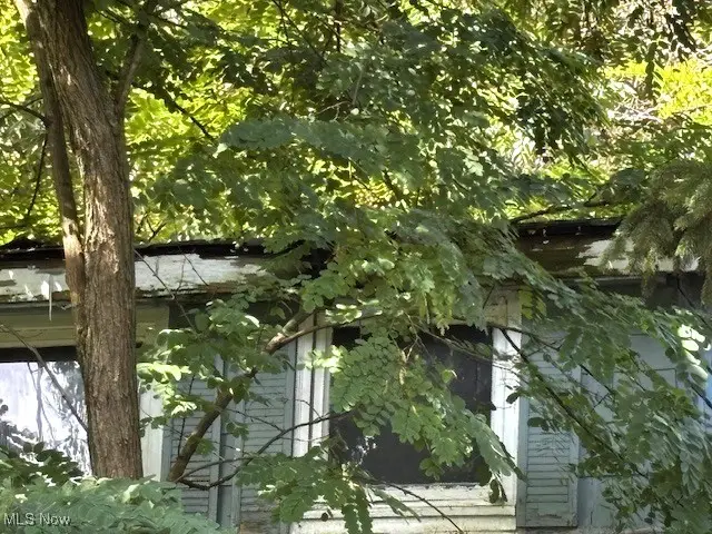 8706 Stearns Road, Olmsted Township, OH 44138 - Image #2