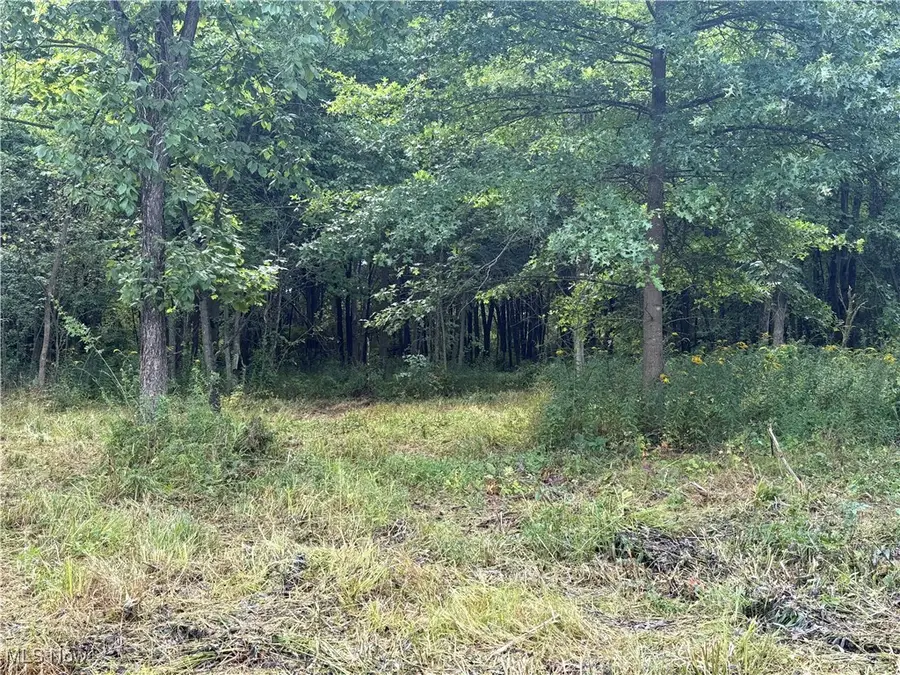 Hartville N Road, Randolph, OH 44632 - Image #3