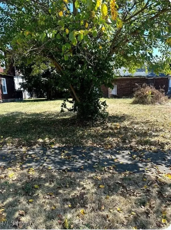 V/L S Freedom Avenue, Alliance, OH 44601 - Image #3