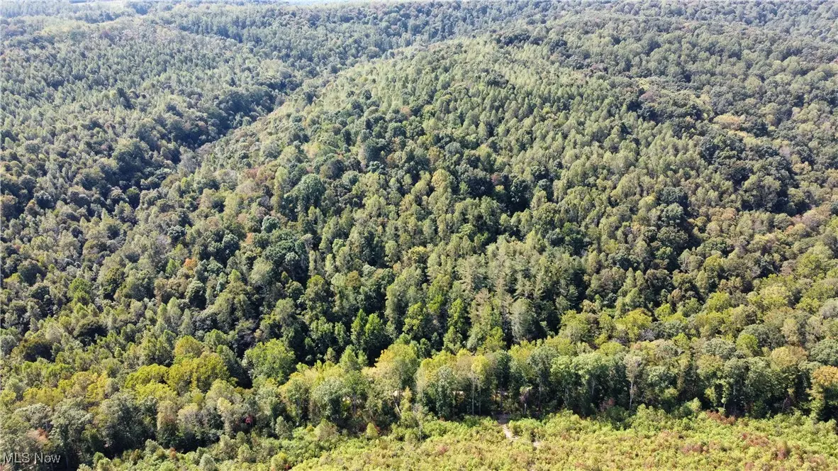 Beech Fork Road, Peebles, OH 45660 - Image #1