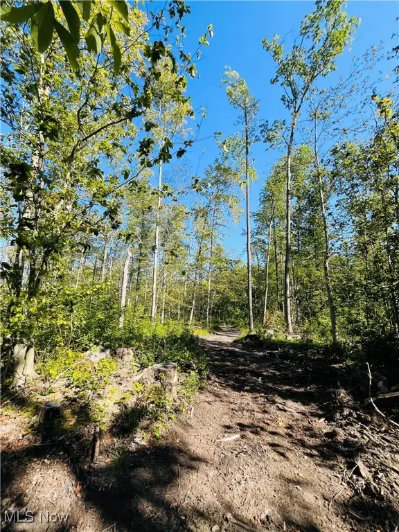 1749 Black Sea Road, Jefferson, OH 44047 - Image #2