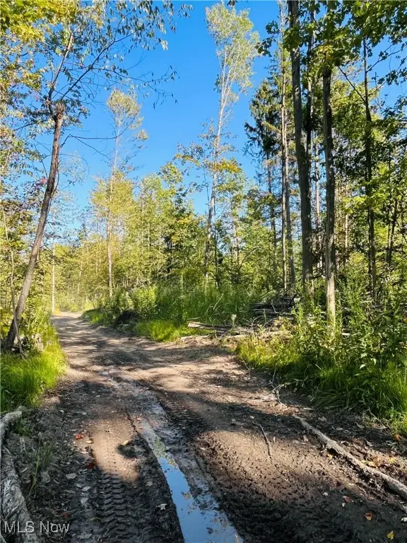 1749 Black Sea Road, Jefferson, OH 44047 - Image #3