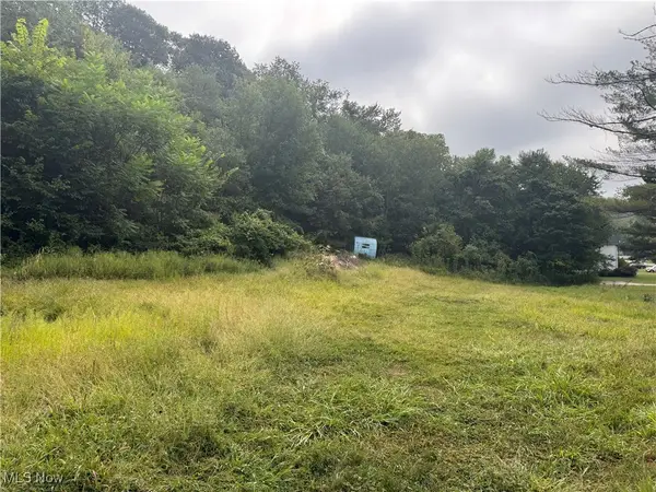 103 Horeshoe Alley, Adena, OH 43901