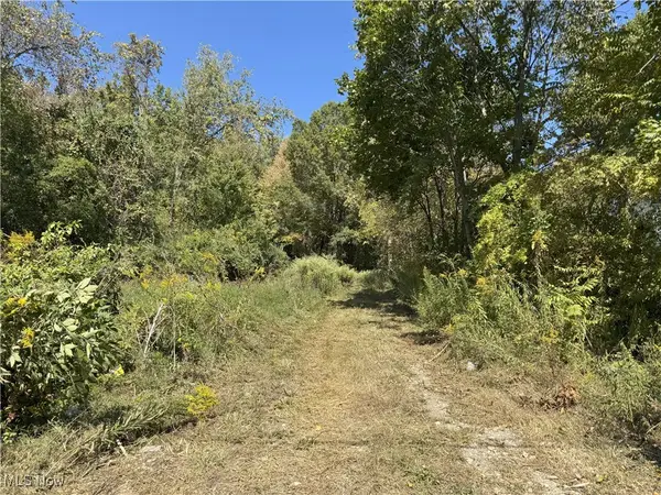 W Turkeyfoot Lake Road, Akron, OH 44319