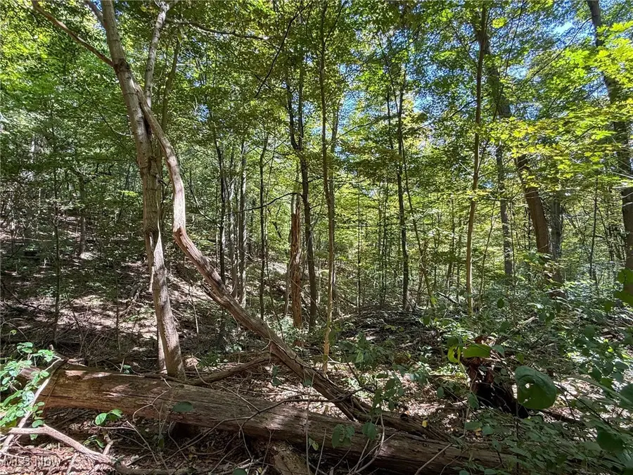 Kingsridge Rd, East Liverpool, OH 43920 - Image #3