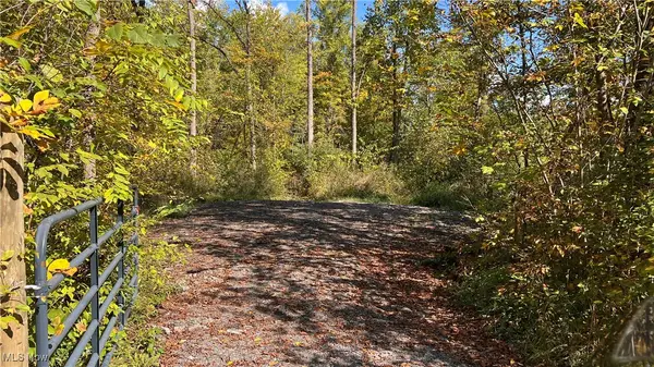 Jeffrey Road, Homerville, OH 44235