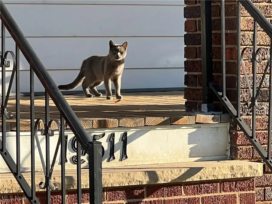 19511 Muskoka Avenue, Cleveland, OH 44119 - Image #2