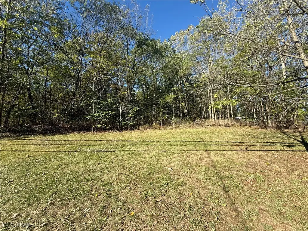 VL Hilbish Avenue, Akron, OH 44312 - Image #1