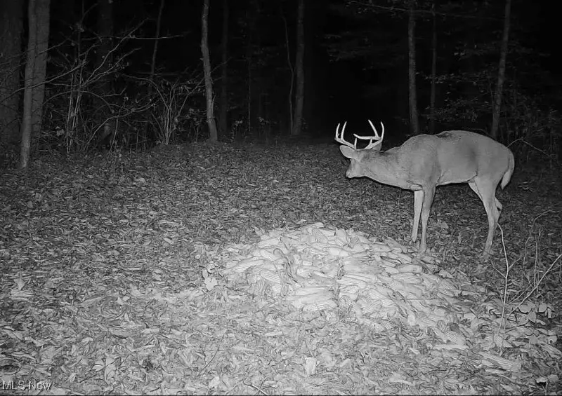 Richards Road, Cambridge, OH 43725 - Image #3