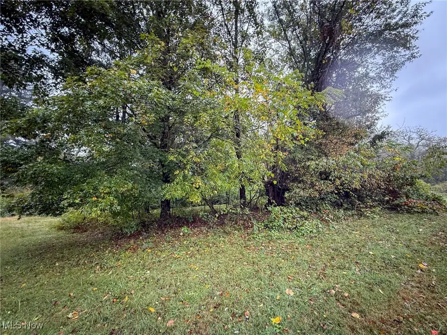 County Rd 11, Dillonvale, OH 43917 - Image #3