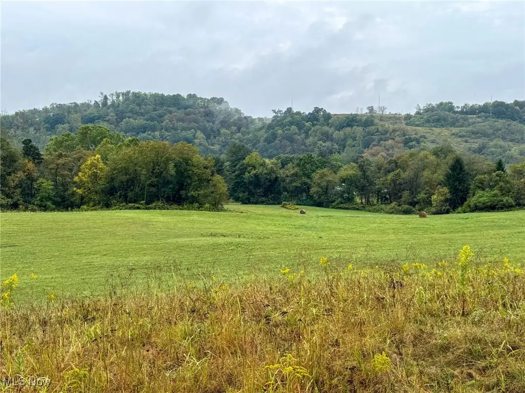 County Rd 11, Dillonvale, OH 43917 - Image #1