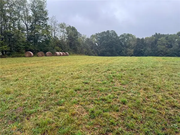 County Rd 11, Smithfield, OH 43917