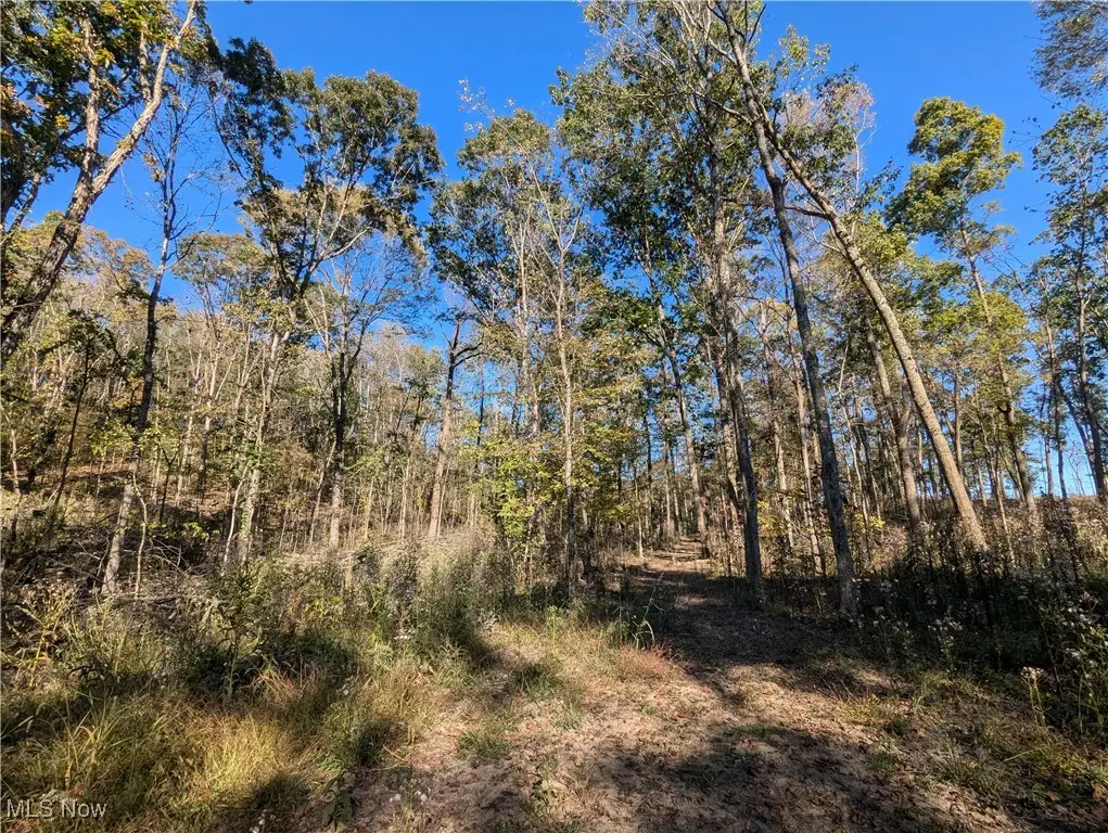 Hibbetts Mill Road, Wellsville, OH 43968 - Image #1