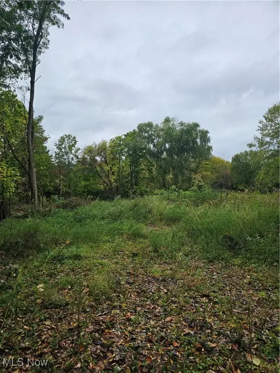 8134 N Boyden Road, Sagamore Hills, OH 44067 - Image #3