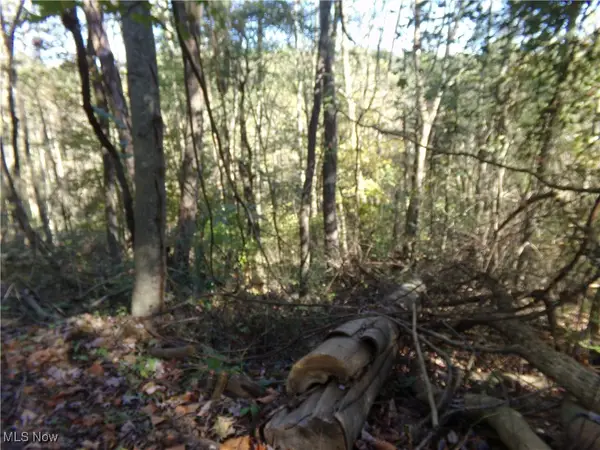 7822 Hilltop Nw Drive, Carrollton, OH 44708