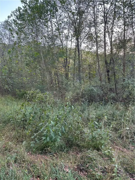 0 Lickskillet Road Road, Woodsfield, OH 43793