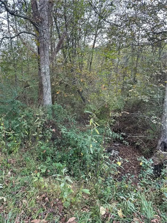 0 Lickskillet Road Road, Woodsfield, OH 43793 - Image #3