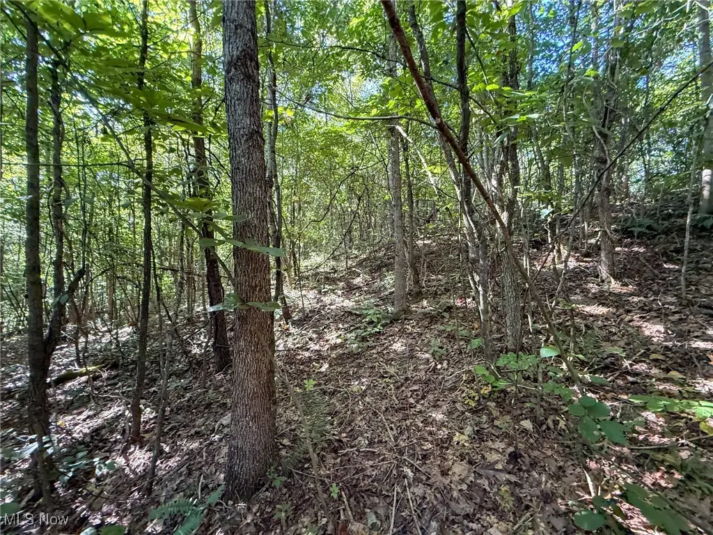 Mudsoc Rd, Patriot, OH 45658 - Image #1