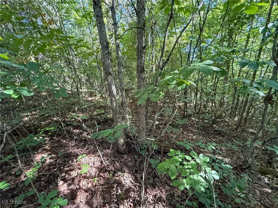 Mudsoc Rd, Patriot, OH 45658 - Image #2