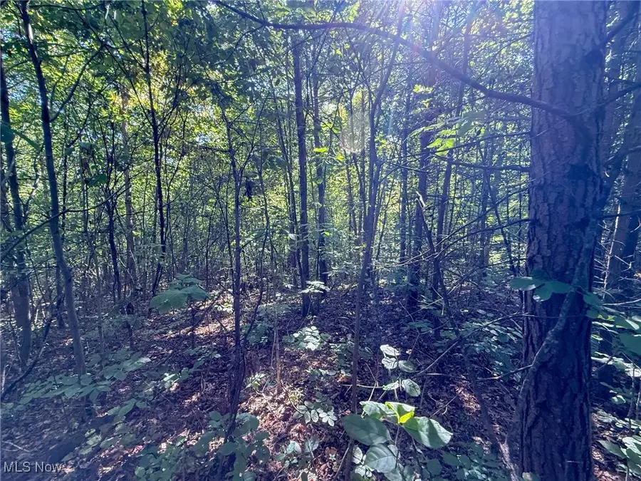 Mudsoc Rd, Patriot, OH 45658 - Image #3